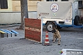 VBS_5371 - In ricordo dell'alluvione del 1994 nel trentennale